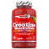 AMIX Creatine Monohydrate - 500 caps